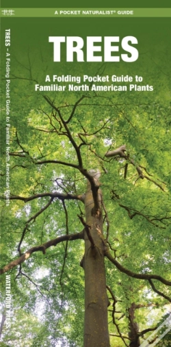 Capa do artigo Trees