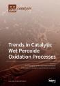 Trends In Catalytic Wet Peroxide Oxidation Processes - Preview