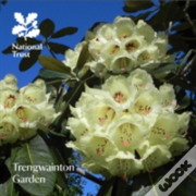 Trengwainton Garden