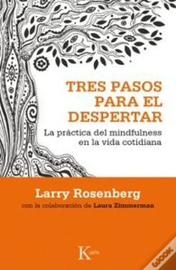 Capa do artigo Tres Pasos Para El Despertar