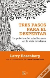 Capa do artigo Tres Pasos Para El Despertar