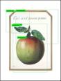 Trevor Paglenfrom Apple To Anomaly - Preview