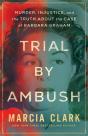 Trial By Ambush - Preview