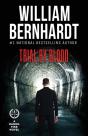 Trial By Blood - Preview