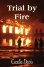 Trial By Fire - Preview