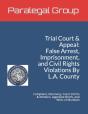 Trial Court & Appeal - Preview