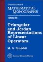 Triangular And Jordan Representations Of Linear Operators - Preview