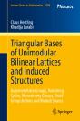Triangular Bases Of Unimodular Bilinear Lattices And Induced Structures - Preview