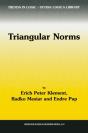 Triangular Norms - Preview