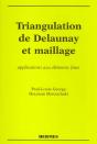 Triangulation De Delaunay Et Maillage - Preview