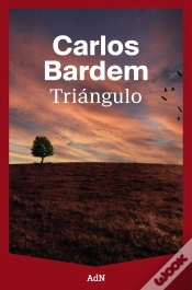Capa do artigo Triangulo