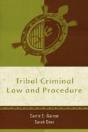 Tribal Criminal Law And Procedure - Preview