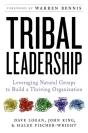 Tribal Leadership - Preview
