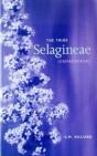 Tribe Selagineae, The - Preview