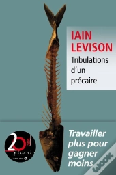 Tribulations D Un Precaire