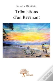 Capa do artigo Tribulations D