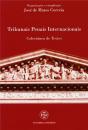 Tribunais Penais Internacionais - Preview