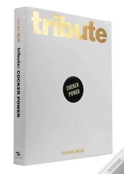 Capa do artigo Tribute: Cocker Power