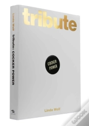 Capa do artigo Tribute: Cocker Power