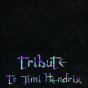 Tribute to Jimi Hendrix - Vinil - Preview