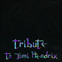 Capa do artigo Tribute to Jimi Hendrix - Vinil