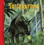 Triceratops And Other Forest Dinosaurs - Preview