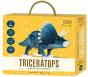 Triceratops Dinosaurios 3d - Preview