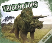 Capa do artigo Triceratops