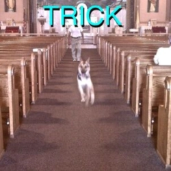 Capa do artigo Trick - Vinil