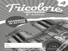 Tricolore 5e Edition: Grammar In Action 4 (8 Pack)