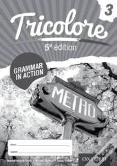 Tricolore Grammar In Action Workbook 3