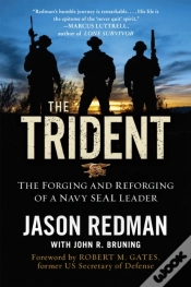 Capa do artigo Trident