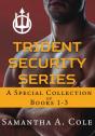 Trident Security Series - Preview
