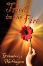 Tried In The Fire - Preview