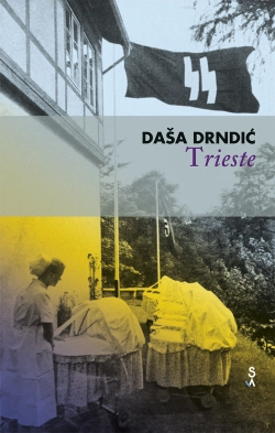 Capa do artigo Trieste