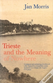 Capa do artigo Trieste