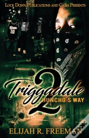 Capa do artigo Triggadale 2