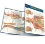 Trigger Points - Preview