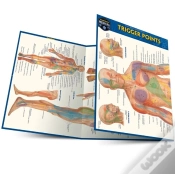 Capa do artigo Trigger Points