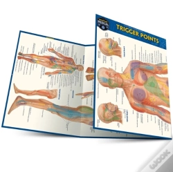 Capa do artigo Trigger Points