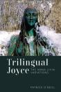 Trilingual Joyce - Preview
