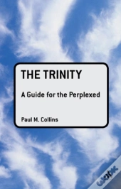 Trinity: A Guide For The Perplexed