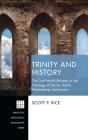 Trinity And History - Preview