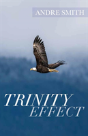 Trinity Effect - Preview