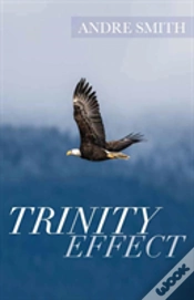 Capa do artigo Trinity Effect