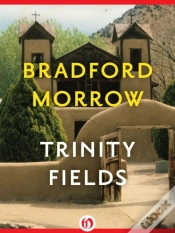 Capa do artigo Trinity Fields