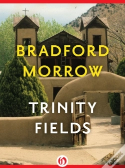 Capa do artigo Trinity Fields