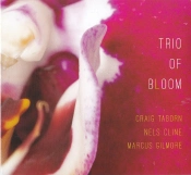 Capa do artigo Trio Of Bloom - CD