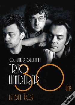Capa do artigo Trio Wanderer
