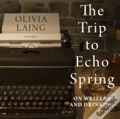 Capa do artigo Trip To Echo Spring